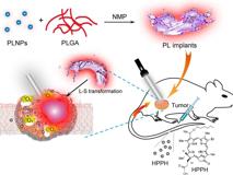 17live
生物医学工程学院黄鹏特聘教授团队在《ACS Nano》发表文章