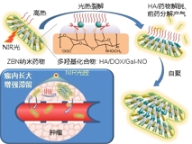 17live
何前军教授团队在国际顶级学术期刊《Advanced Materials》上发表文章