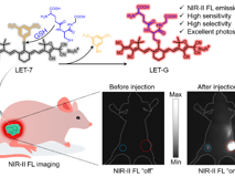 17live
林静教授团队在Angewandte Chemie、Analytical Chemistry发表系列研究论文