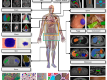 17live
倪东教授团队在《Medical Image Analysis》上发表文章