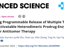 17live
林静教授团队在Advanced Science发表异二聚体前药酶组装体用于释放抗肿瘤制剂的研究成果